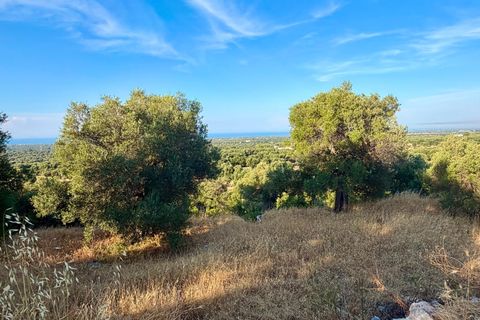Landejendom i Cisternino, Brindisi, Cisternino - € 1.111.111 | Ref: 381 - foto 39